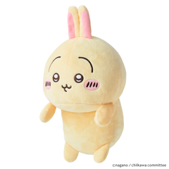 Usagi (1 Piece)
